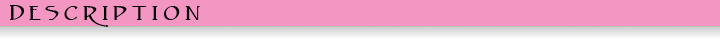 topbanner