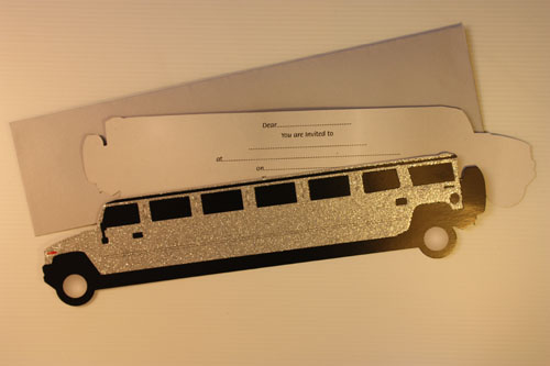 Bachelorette Party Car decorating kit